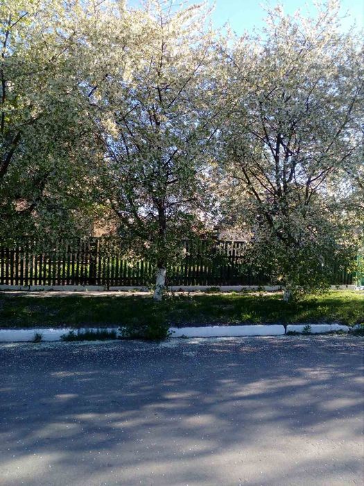 Простір і Свобода у власному домі в Приворітʼї, Брусилівський район