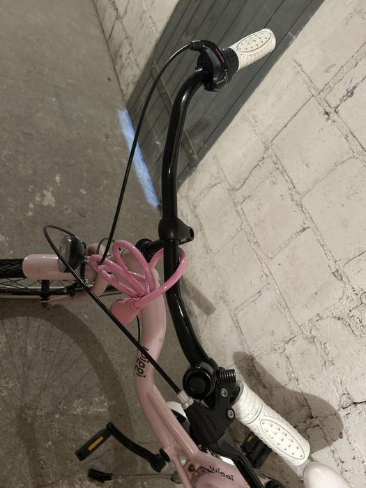 Rower Wiggi 24