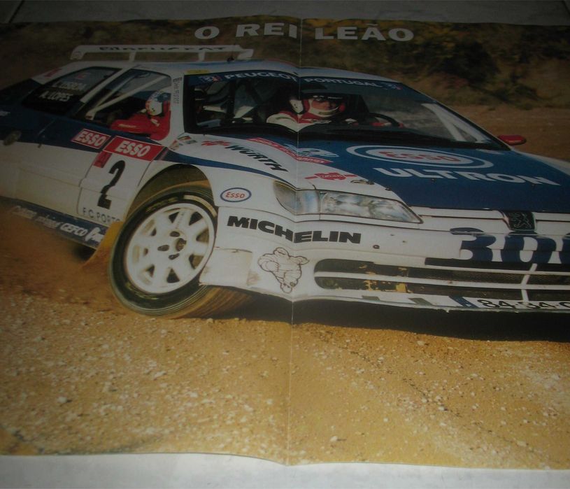 Poster - Peugeot 306 Maxi - Campeão Nacional F2 1996 - Adruzilo Lopes