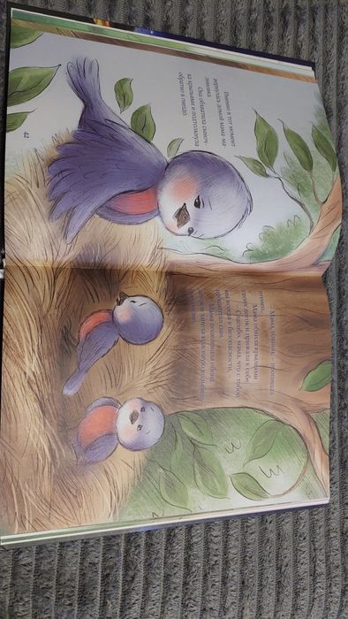 5 минут перед сном. Сборник сказок для малышей.