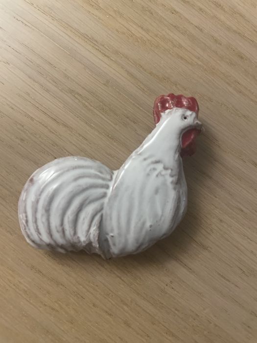 Magnes kogut z Cisnej w Bieszczadach