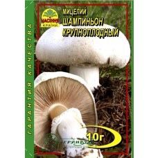 Продаю мицелий грибов 10 г