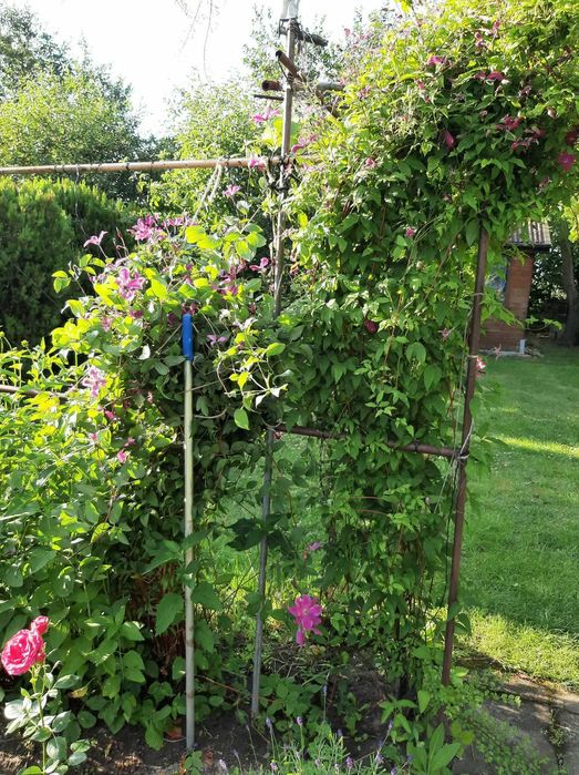 Ogródek działkowy ROD