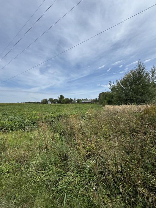 Продаж будинку  по вул. Польова в с.Заболоття 60 сот. землі