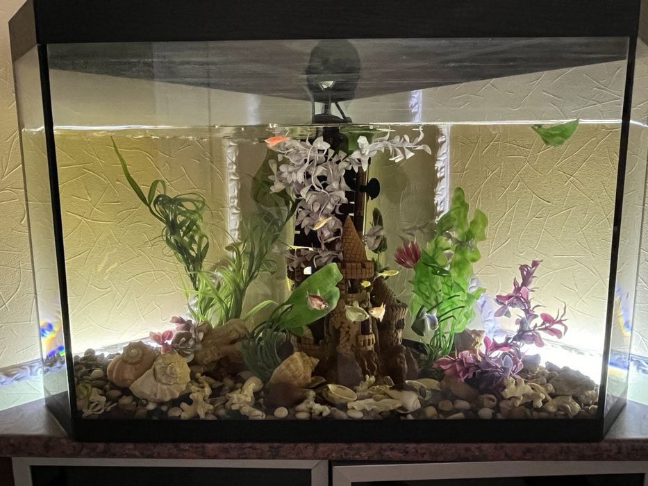 Акваріум на 90 л, з наповненням та рибками (Самовивіз)