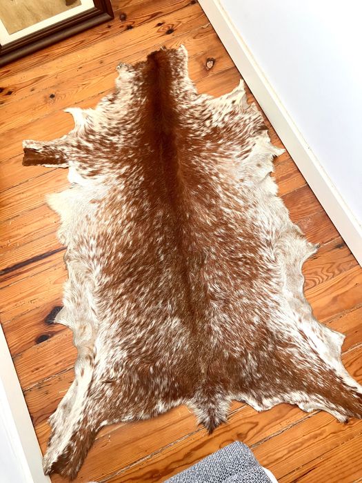 Pele de cabra/Real goat hide