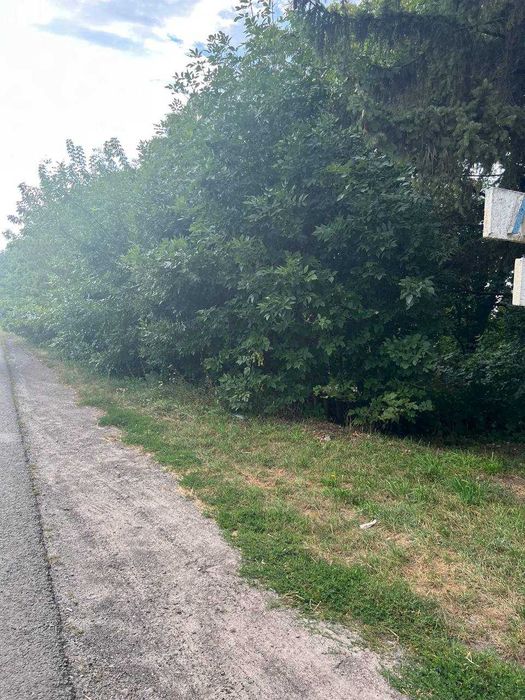 Земля Піддубці сільськогосподарського призначення 20сот