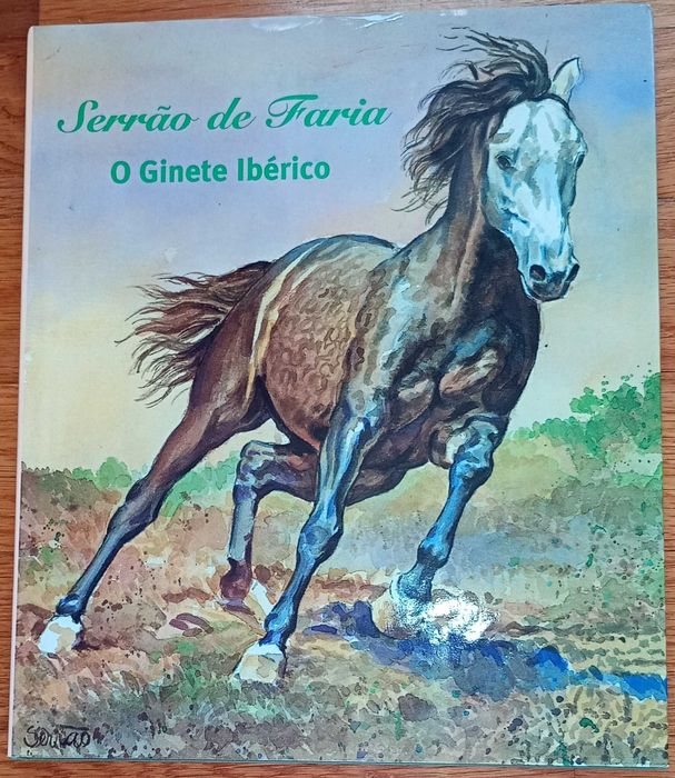 Lote de Livros em Bom Estado - Cavalos e Equitação