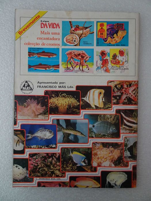 Caderneta de cromos vazia O Maravilhoso Mundo Subaquático