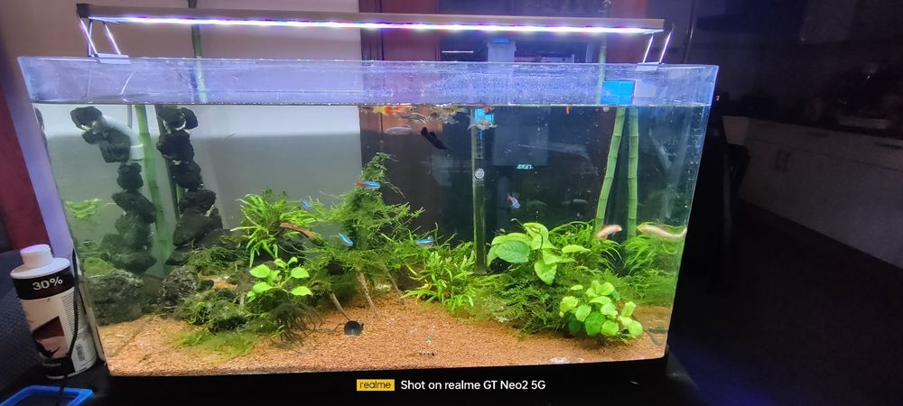 Aquário  completo 120l