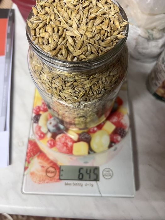 Продам ярий ячмінь 2025 року Вакула.Натура 645