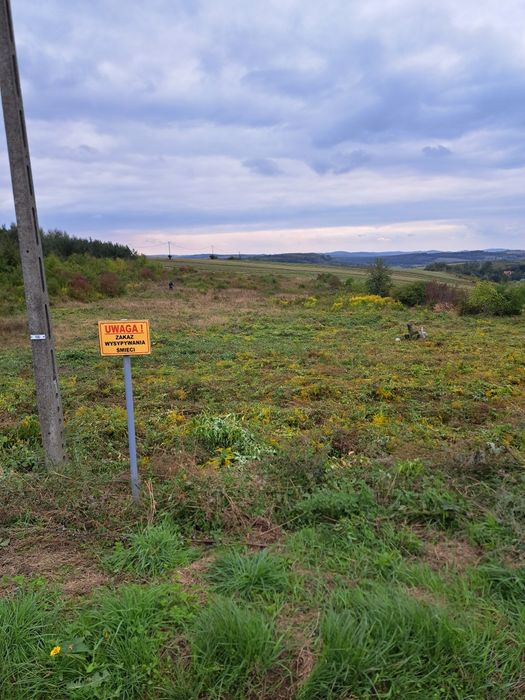 Działka rolna, 0,5544ha, Zasępiec - Widok 3