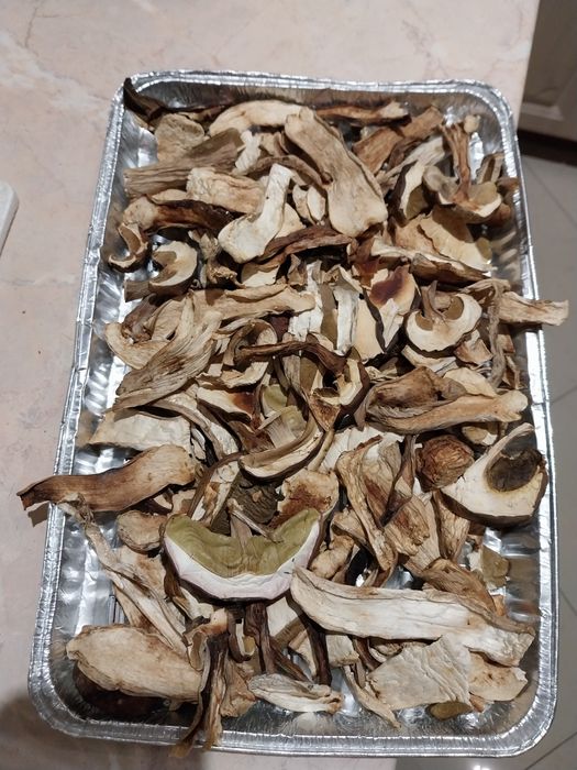 Suszone grzybki . BOROWIKI