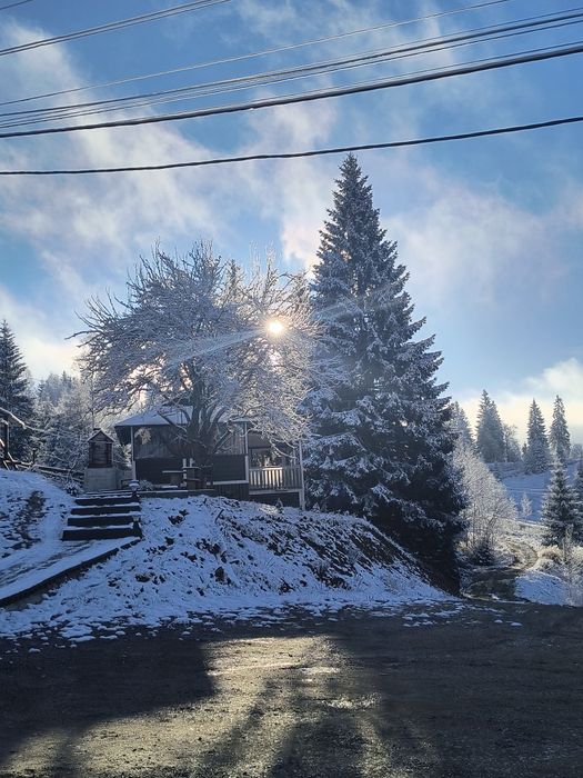 Відпочинок в Карпатах Mountain Dew