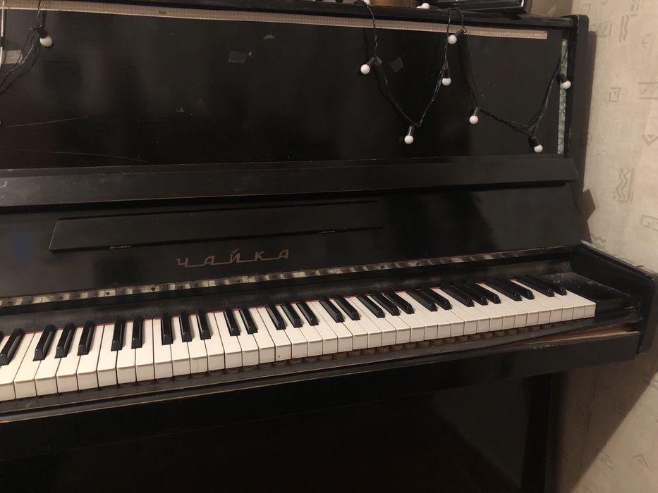 піаніно чайка