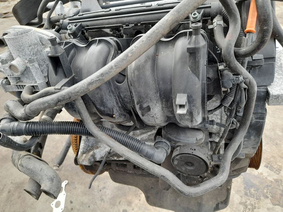 Motor completo SEAT Ibiza III (6L1)