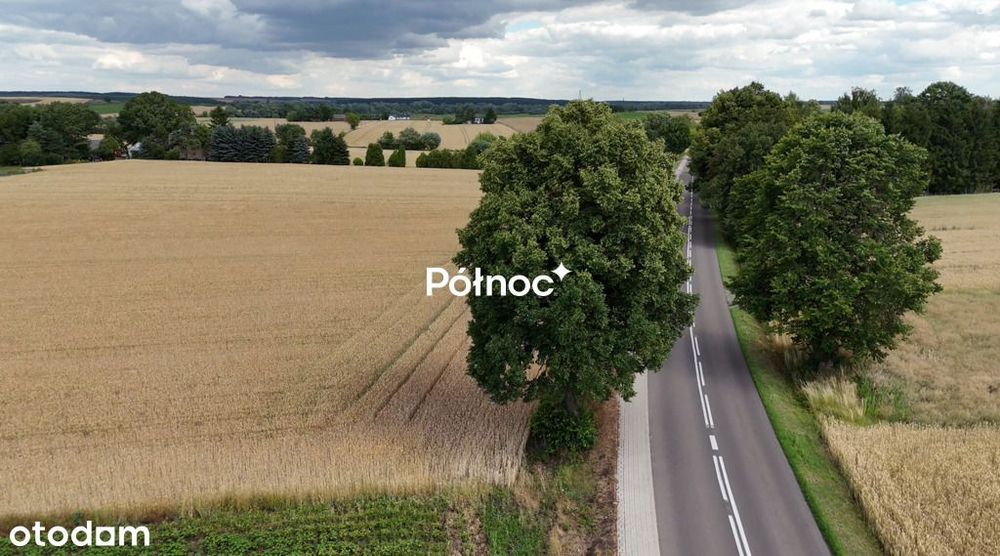 1 ha pola w granicach miasta Hrubieszów