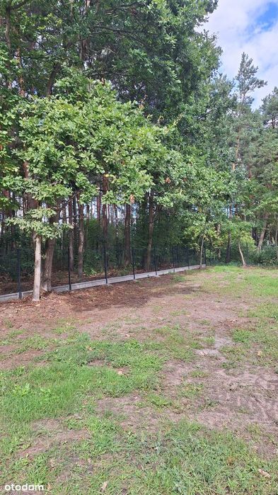 Dom Legionowo Serock Marynino Skowronkowa pod lasem