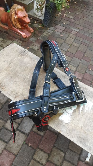 Шлея для коника ,коня ,поні