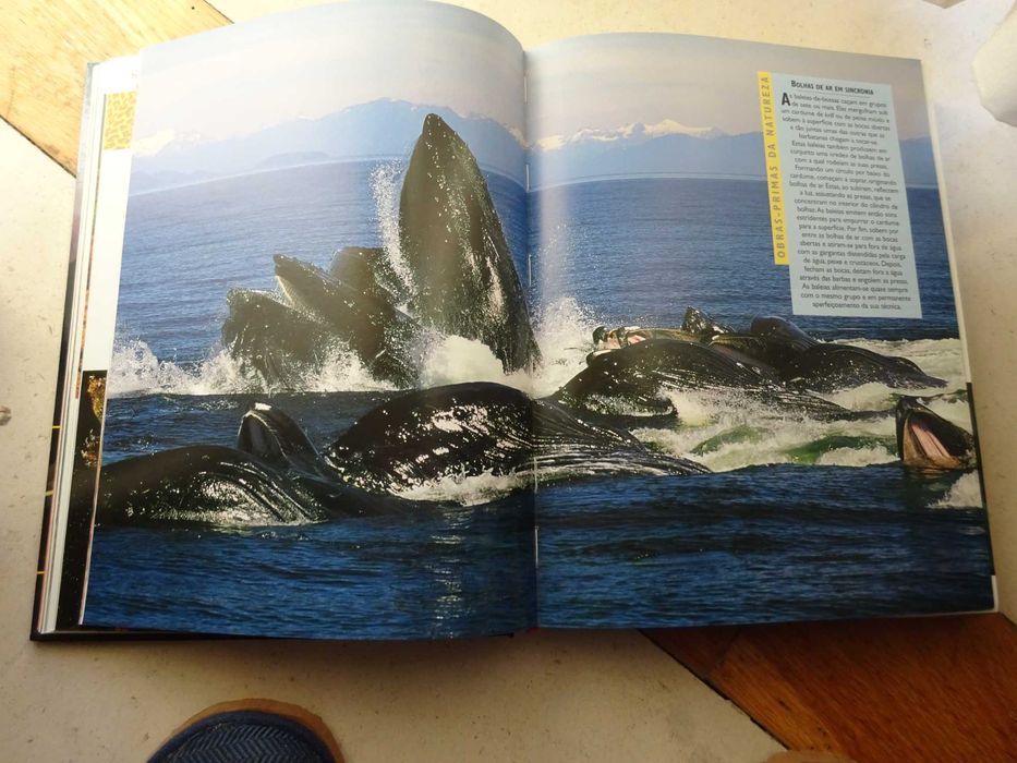 1.001 Maravilhas da Natureza