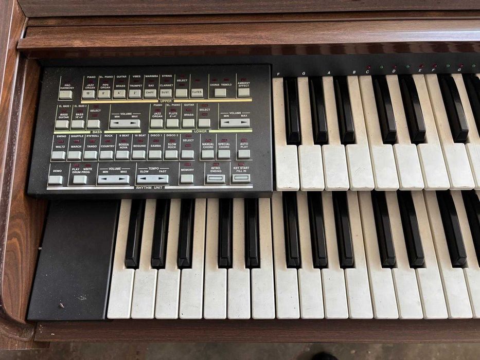 Órgão elétrico para estudo  Viscount