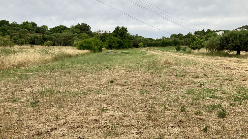 Terreno Rustico em São Brás Alportel
