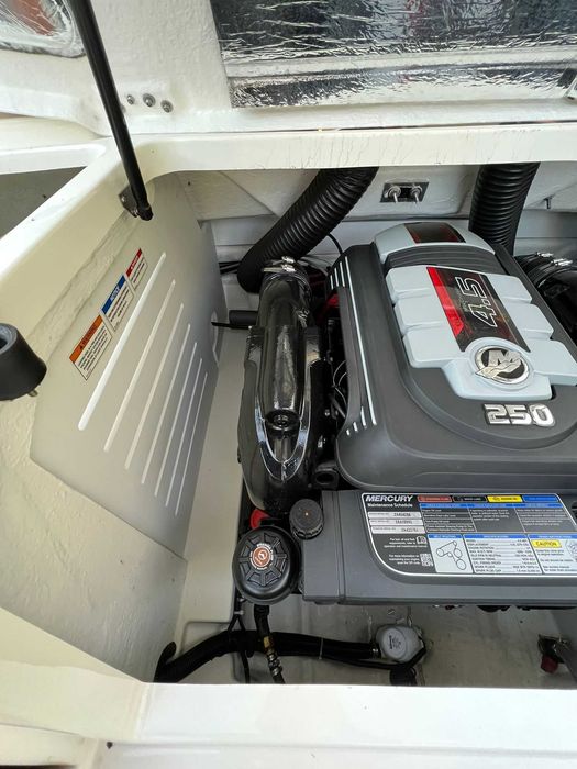 Motorówka Sea Ray 21SPX