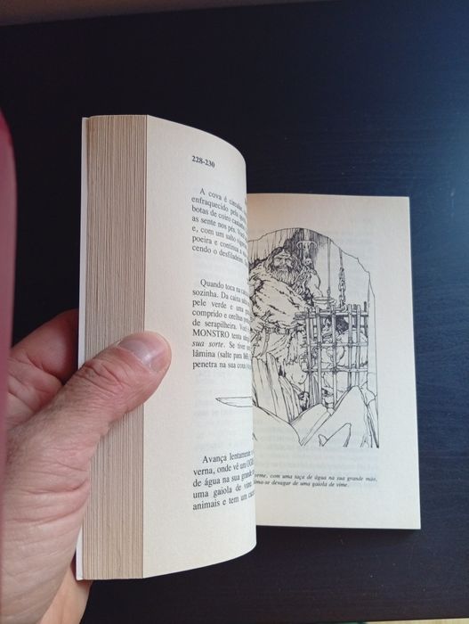 Livro aventuras fantásticas a floresta da morte