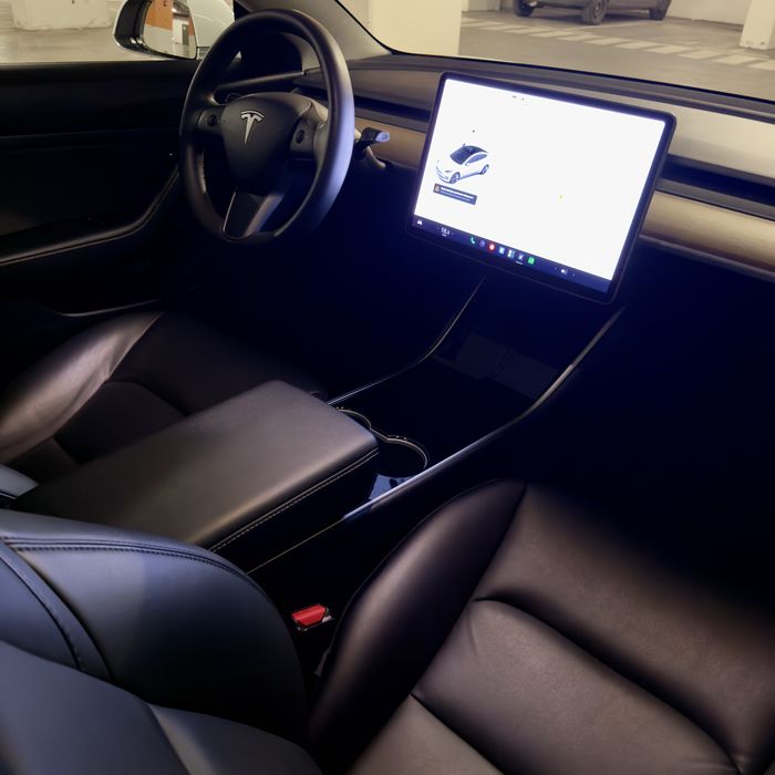 Model 3 standard plus