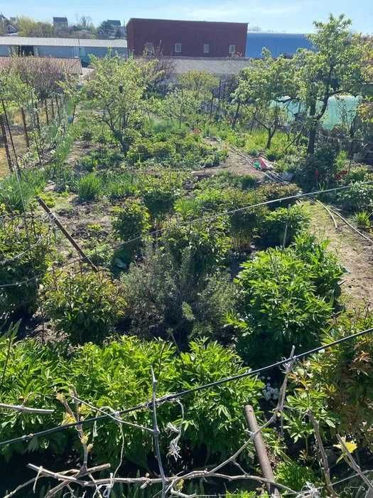 (13) Продам будинок в центрі Малодолинського