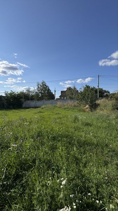 Продаж будинку Піщанка  , ділянка 59 соток , червона лінія , вул . Шевченко . Приватизована , газ , світло є , вода свердловина .