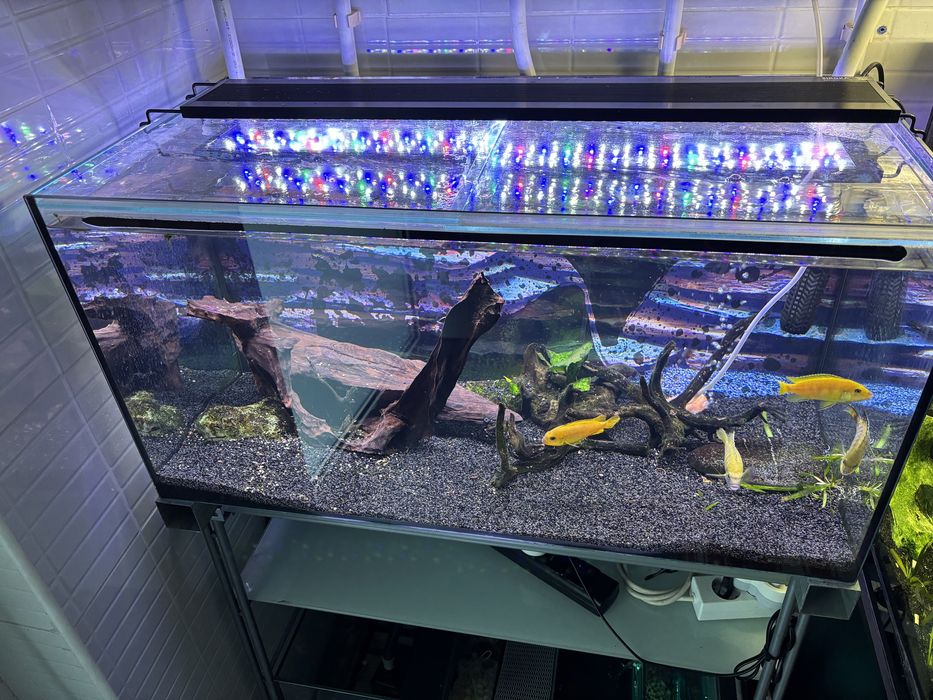 Aquario com iluminacao