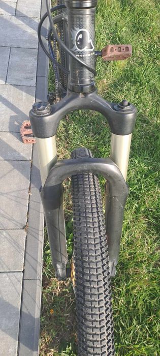 Dartmoor Quinnie | Dirt / Pumptrack | Złote detale