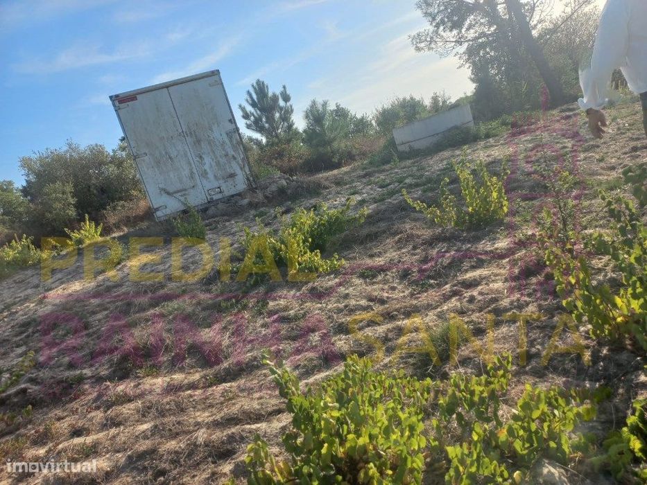 Terreno rustico com 1 Hectare-Cartaxo