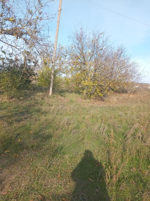 Дом в Петрово-Солонихе, возможен торг