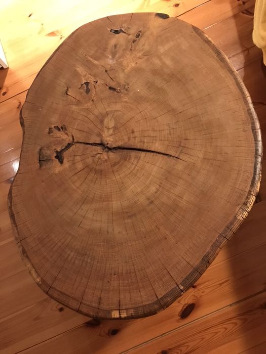 Stół z pnia dębu