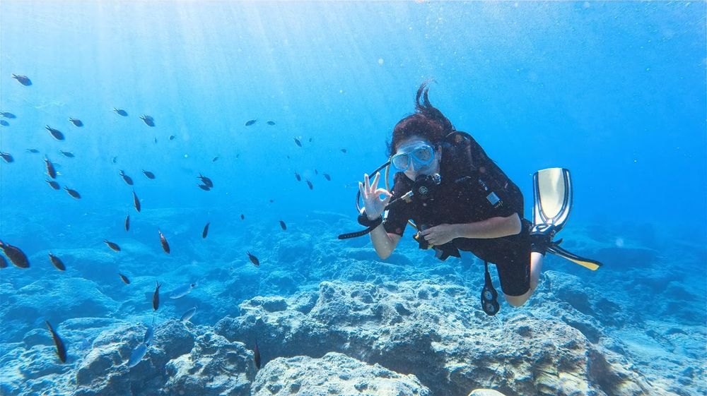 AngielskiOnPoint - Korepetycje online, Matura, Konwersacje, Egzaminy