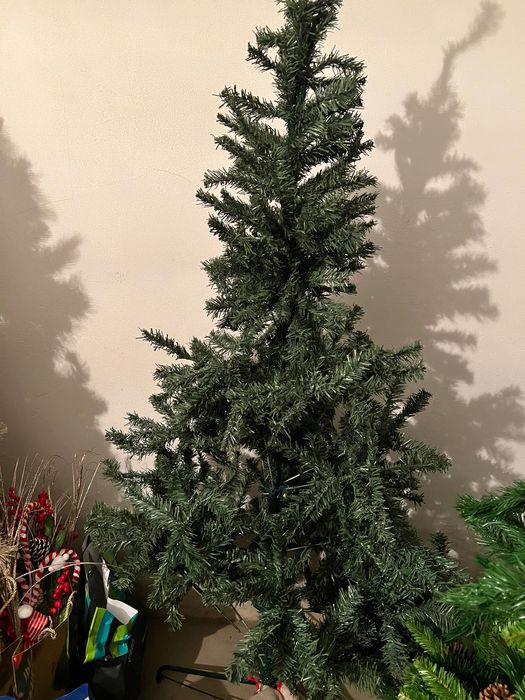 Pinheiro de Natal