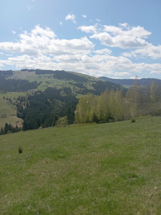 Продається земельна ділянка 94 сотики в Верховині присілок Пушкарі.