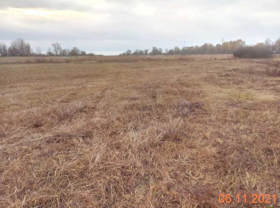 Продаж земельної ділянки 15 сот. Київська обл., с.Вишеньки  8000$