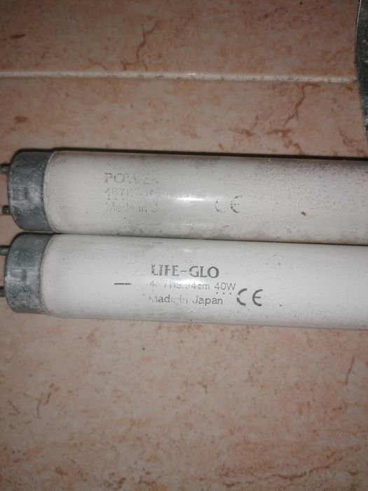 1 lâmpada Glo para aquário água salgada