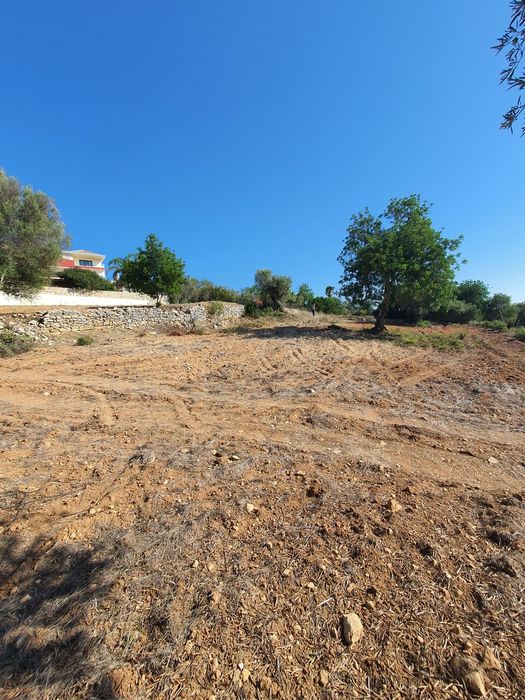 Limpeza e desmatação de terrenos .