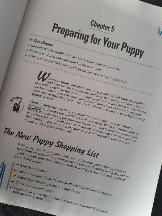 Livro Boxers for Dummies em inglês