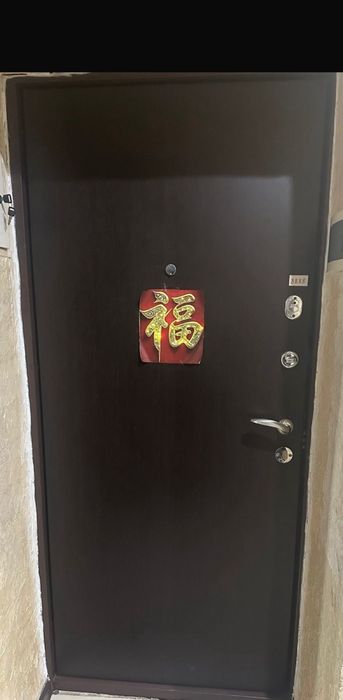 Входная дверь Саган