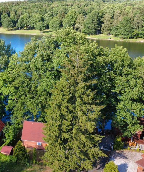 Domek nad jeziorem złotnickim wynajmę