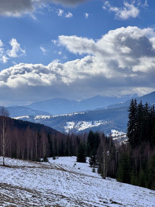 Земля 3,64 га у Карпатах, вид на Чорногірський хребет, під будівництво