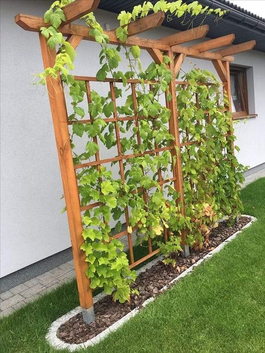 Prace ogrodowe, ogrodnik, pielęgnacja ogrodów, przycinanie thuji, prac