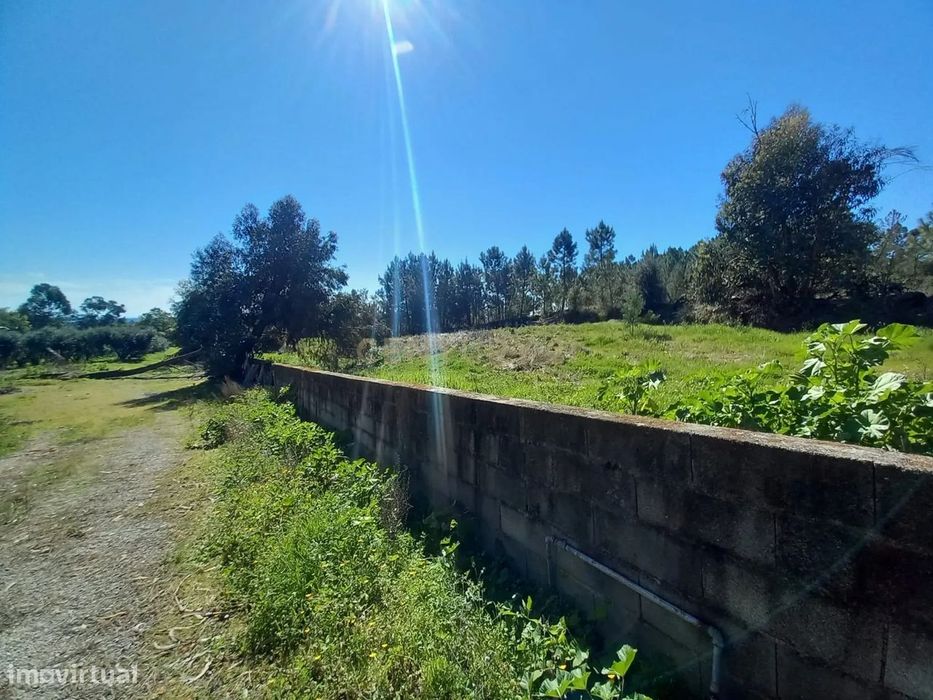 Quinta com 24750m2 Louriçal do campo