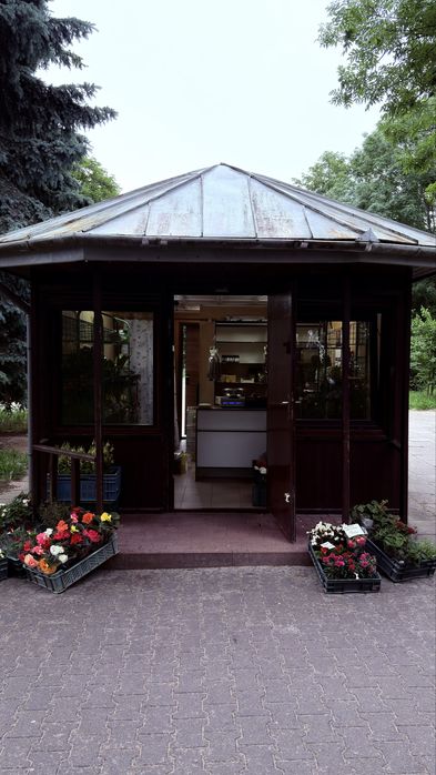 Warzywniak, kiosk. Dochodowy biznes. Krowodrza.