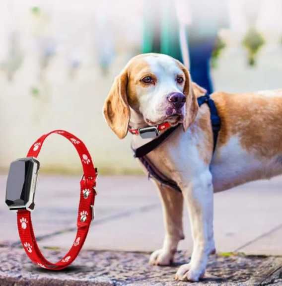 (NOVO) Localizador Rastreador Coleira GPS para Cão Gato